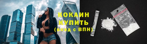 стаф Абинск