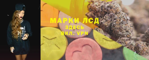 стаф Абинск