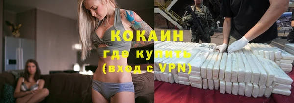 соль ск Абаза