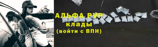 соль ск Абаза