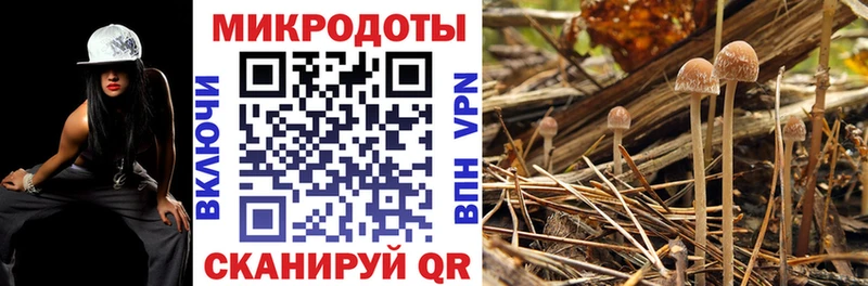 купить  цена  дарк нет как зайти  Галлюциногенные грибы Cubensis  Таганрог  МЕГА онион 